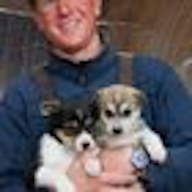 Grizzle-T Dog & Sled Works image 1