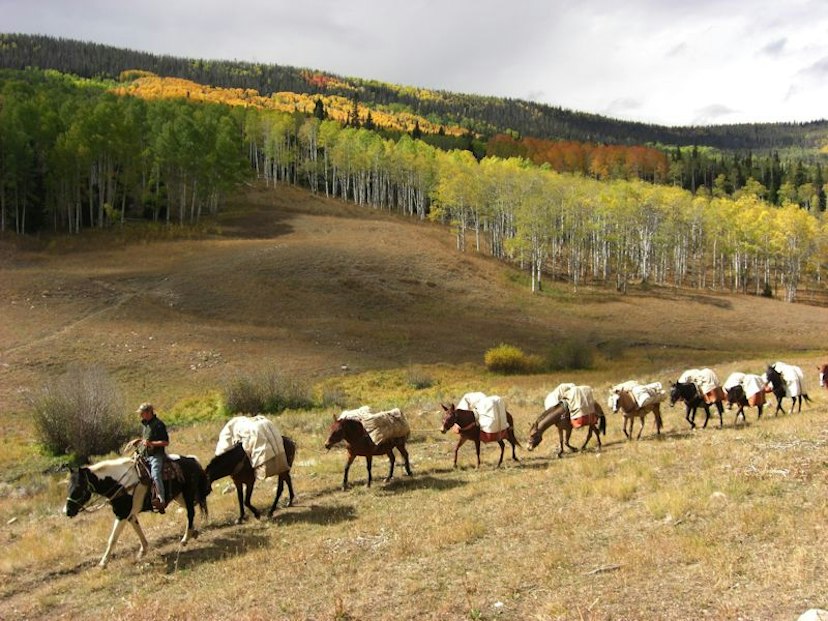 Colorado's High Lonesome Outfitter & Guides image 2