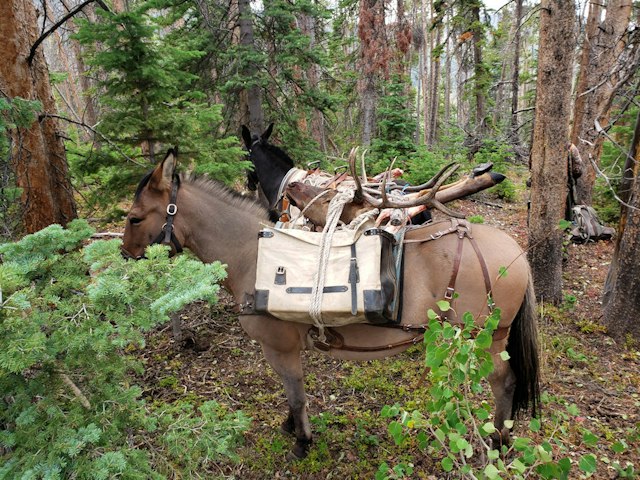 Colorado's High Lonesome Outfitter & Guides image 5
