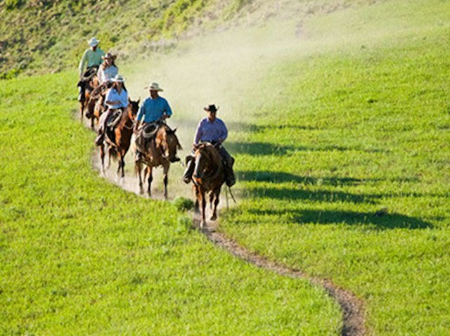 Saddleback Ranch image 4
