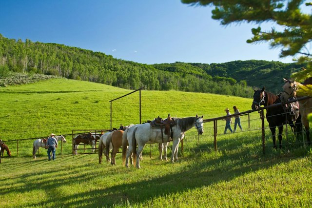 Saddleback Ranch image 5