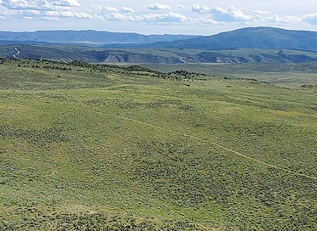 Wild Horse Refuge image 4