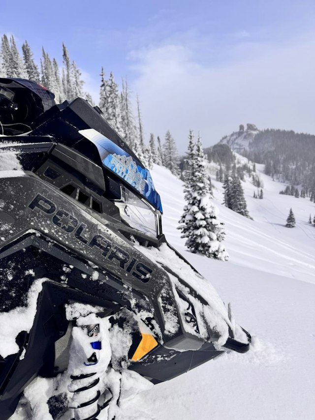 Colorado Sled Rentals image 1