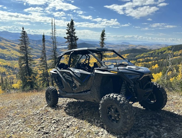 Colorado Sled Rentals image 5