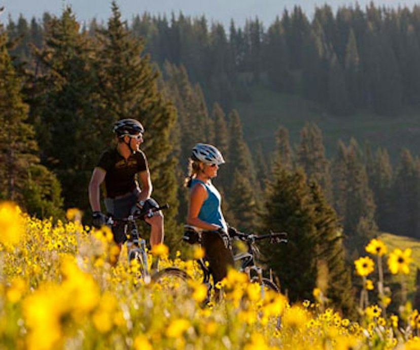 Vail Bike & Ski Tech image 3