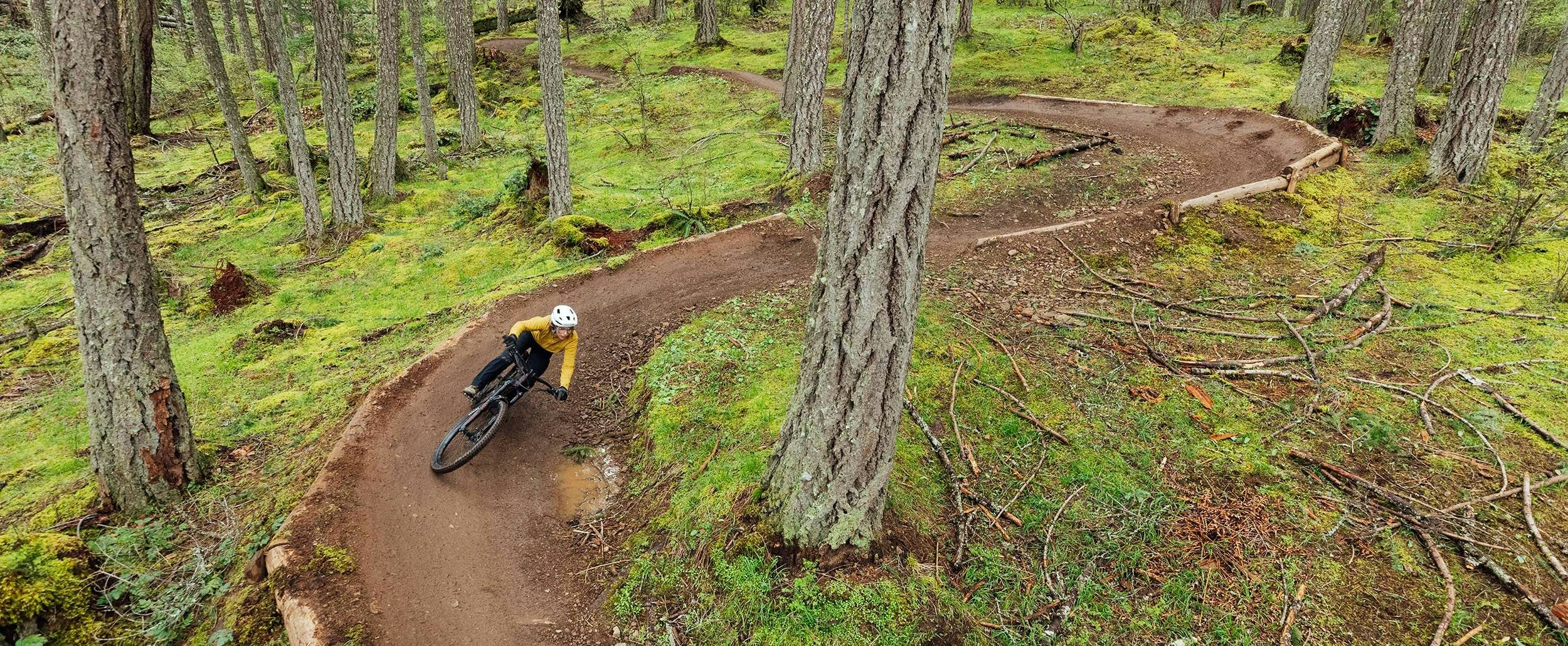Kind Bikes and Skis, photo