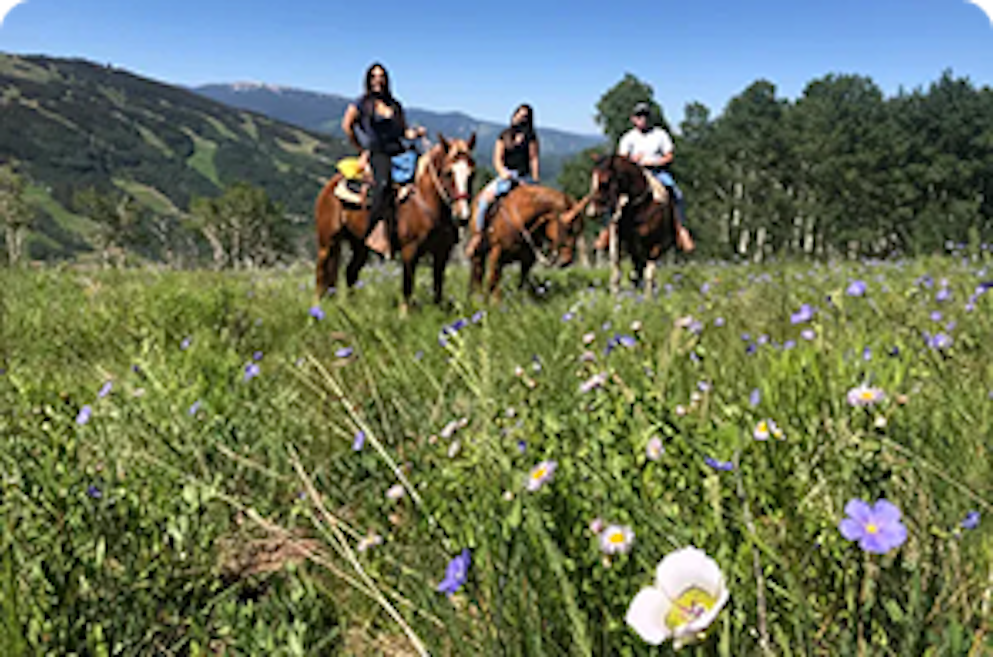 Vail Stables, photo
