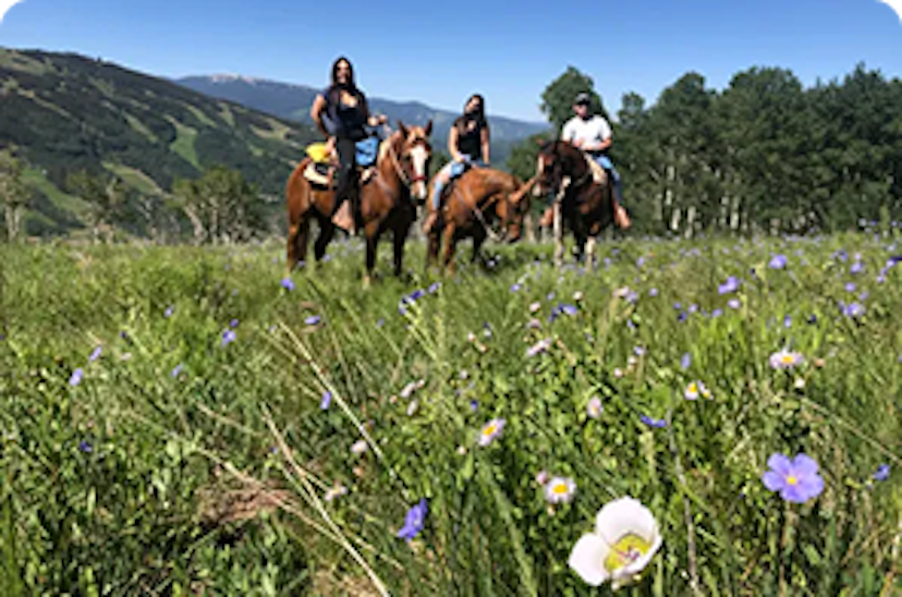Vail Stables image 1