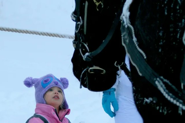 Bearcat Stables image 10