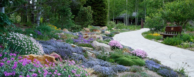 Betty Ford Alpine Gardens image 3