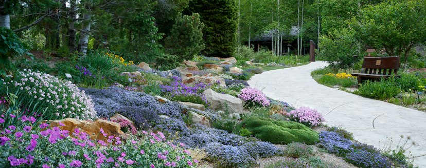 Betty Ford Alpine Gardens image 3
