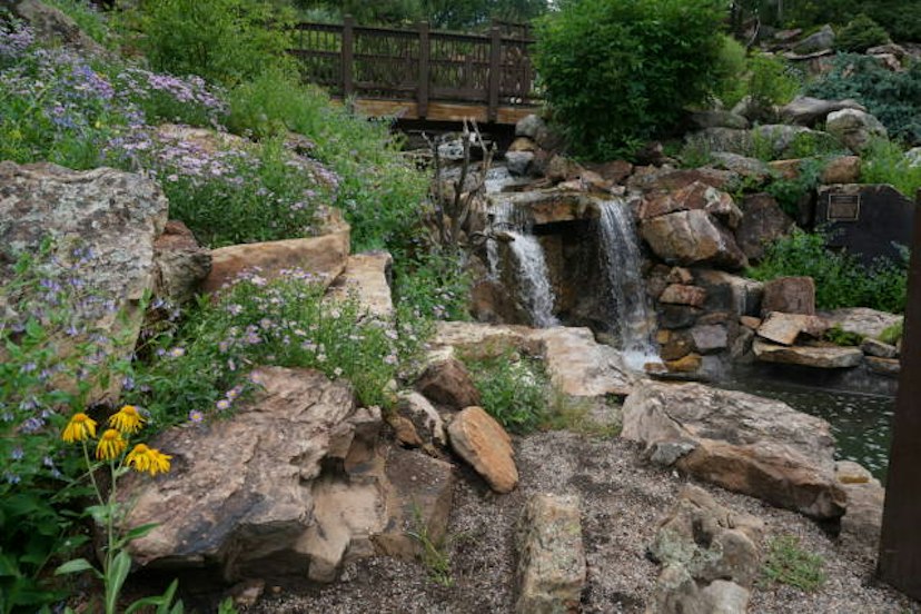 Betty Ford Alpine Gardens image 1