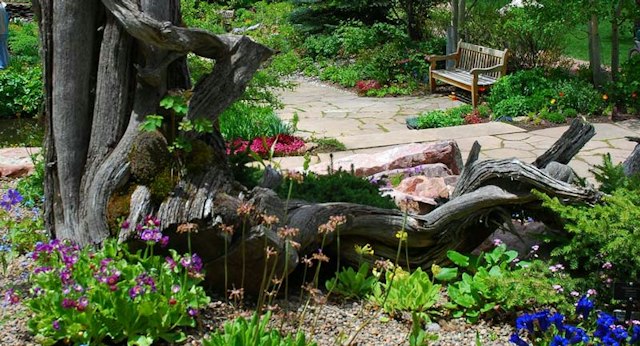 Betty Ford Alpine Gardens image 2