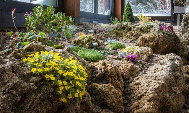 Betty Ford Alpine Gardens image 6