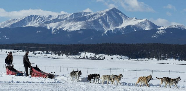 Alpine Adventures image 8