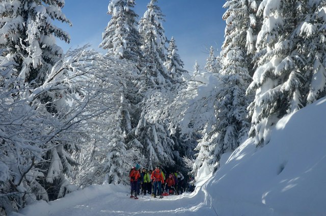 Apex Mountain School image 10