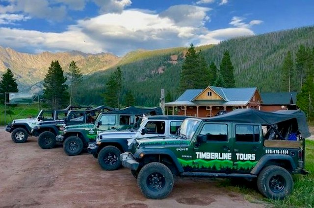 Timberline Tours image 2