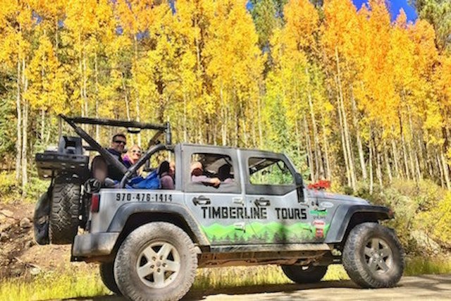 Timberline Tours image 1