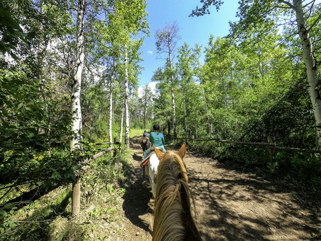 Adventure Outdoors image 11