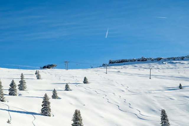 Vail Mountain image 7
