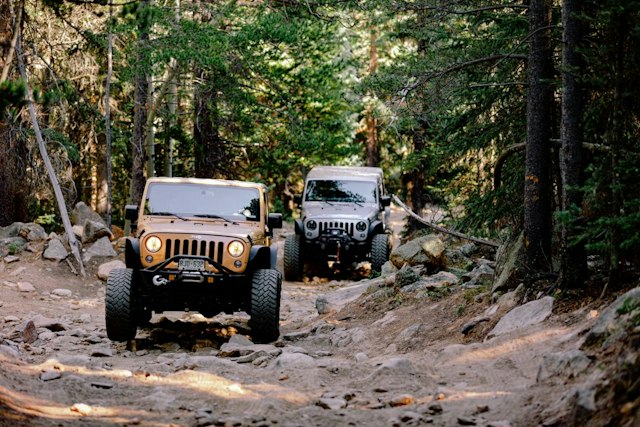 Native Jeeps image 2