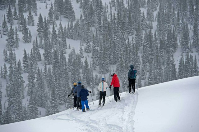 Vail Powder Guides image 3