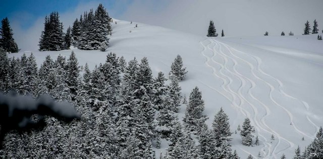 Vail Powder Guides image 7