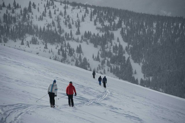 Vail Powder Guides image 6