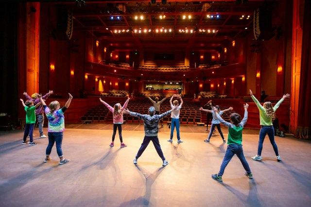 Vilar Performing Arts Center image 5