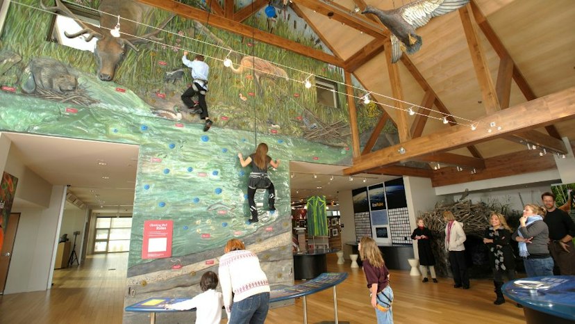 Swaner Preserve and EcoCenter image 2
