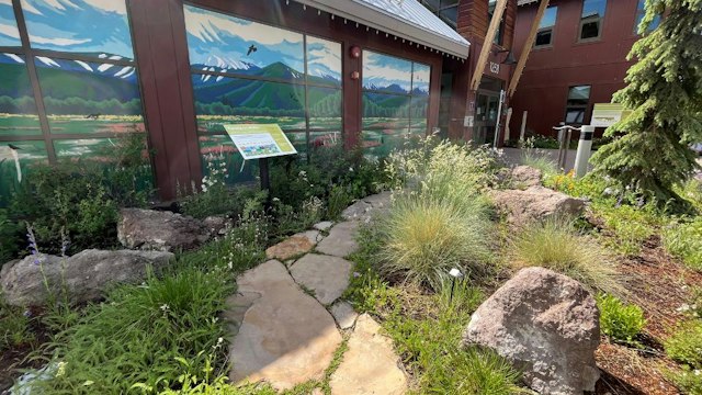 Swaner Preserve and EcoCenter image 4