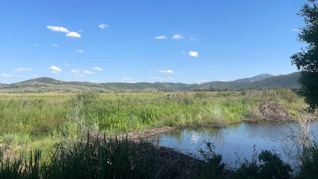 Swaner Preserve and EcoCenter image 12