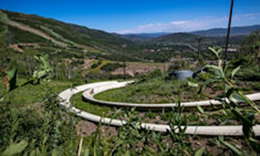 Park City Alpine Coaster image 3