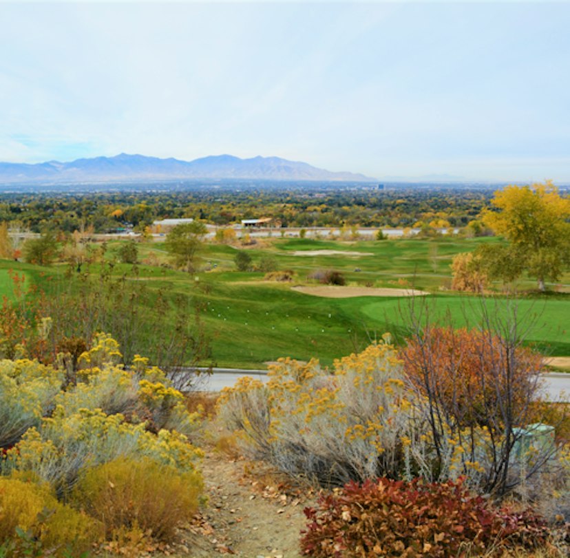 Old Mill Golf Course image 2