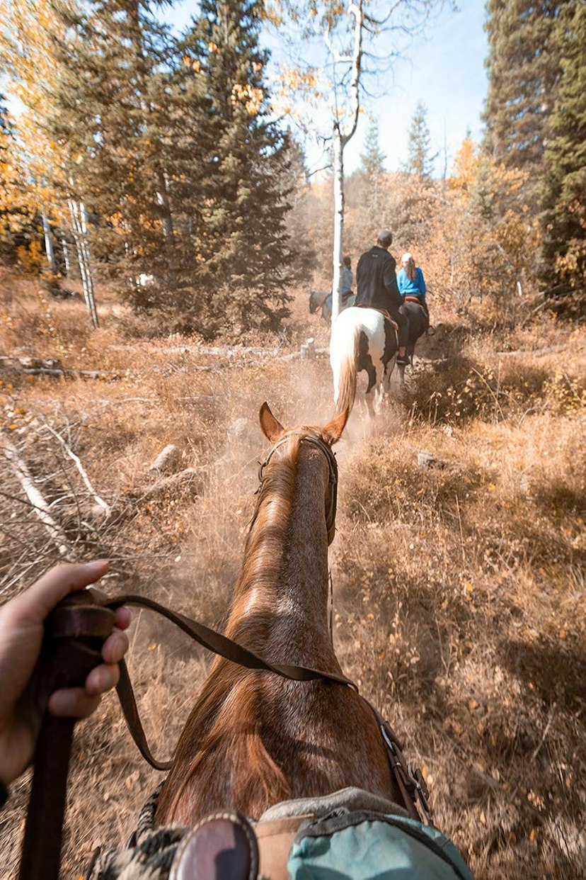Red Pine Tours image 1