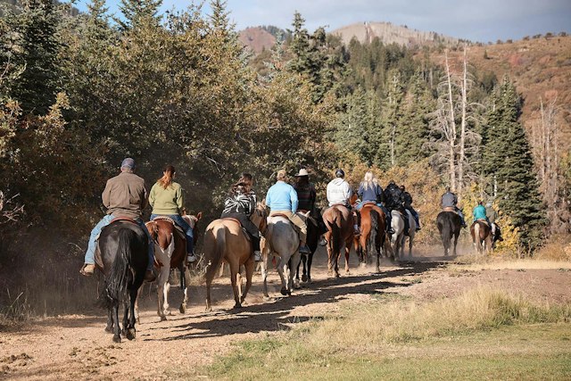 Red Pine Tours image 5