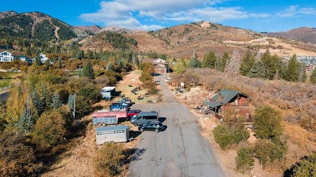 Red Pine Tours image 4