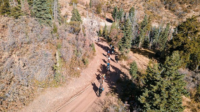 Red Pine Tours image 6