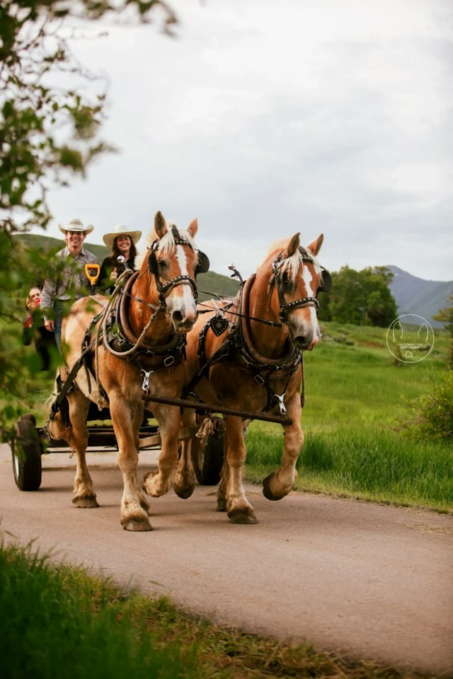 Rocky Mountain Outfitters image 4