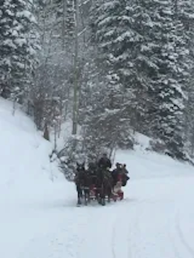 Park City Seigh Rides image 4
