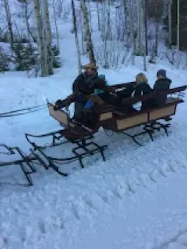 Park City Seigh Rides image 1