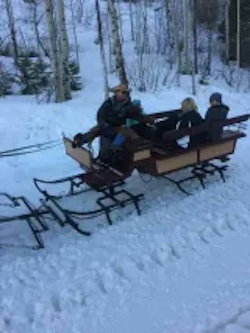 Park City Seigh Rides image 1