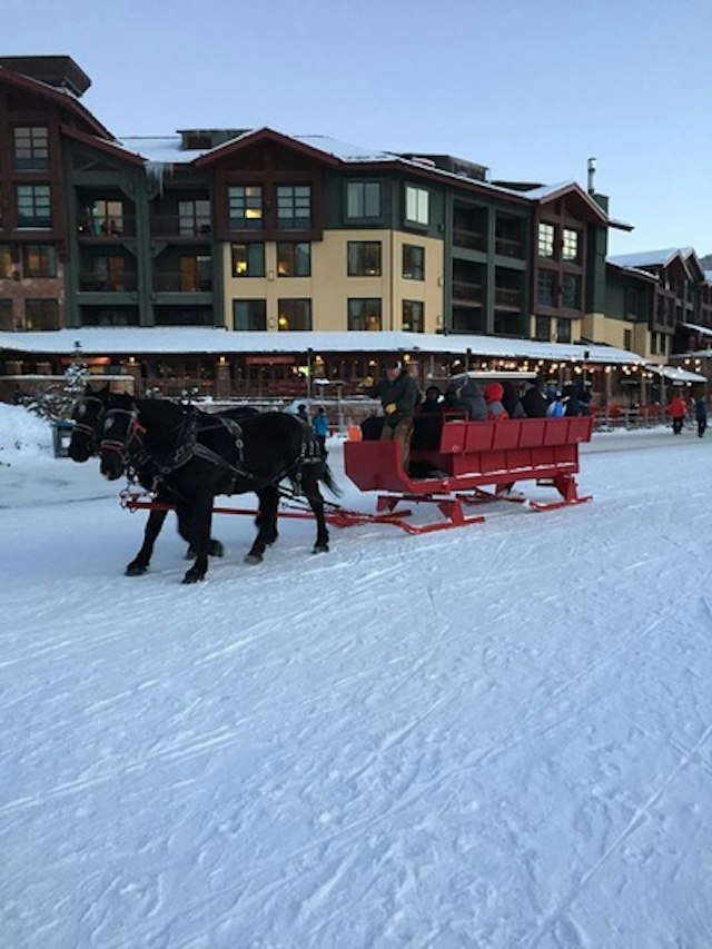 Park City Seigh Rides image 5