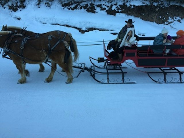 Park City Seigh Rides image 7