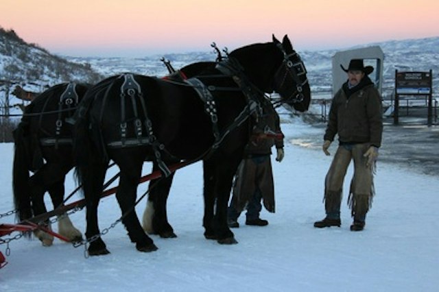 Park City Seigh Rides image 8
