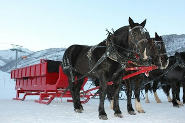 Park City Seigh Rides image 9