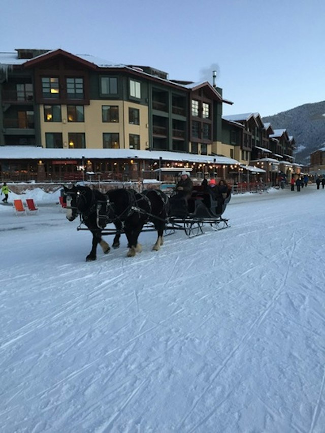 Park City Seigh Rides image 10