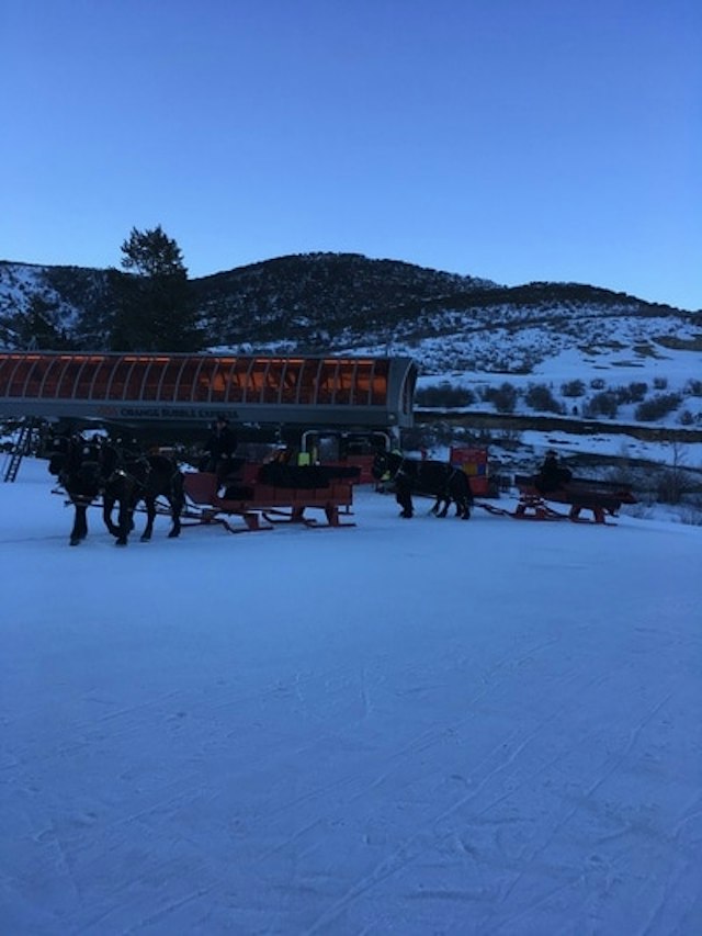 Park City Seigh Rides image 11