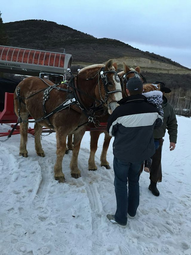 Park City Seigh Rides image 12
