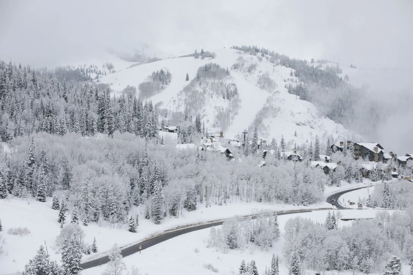 Snowed Inn Sleigh Co. image 1
